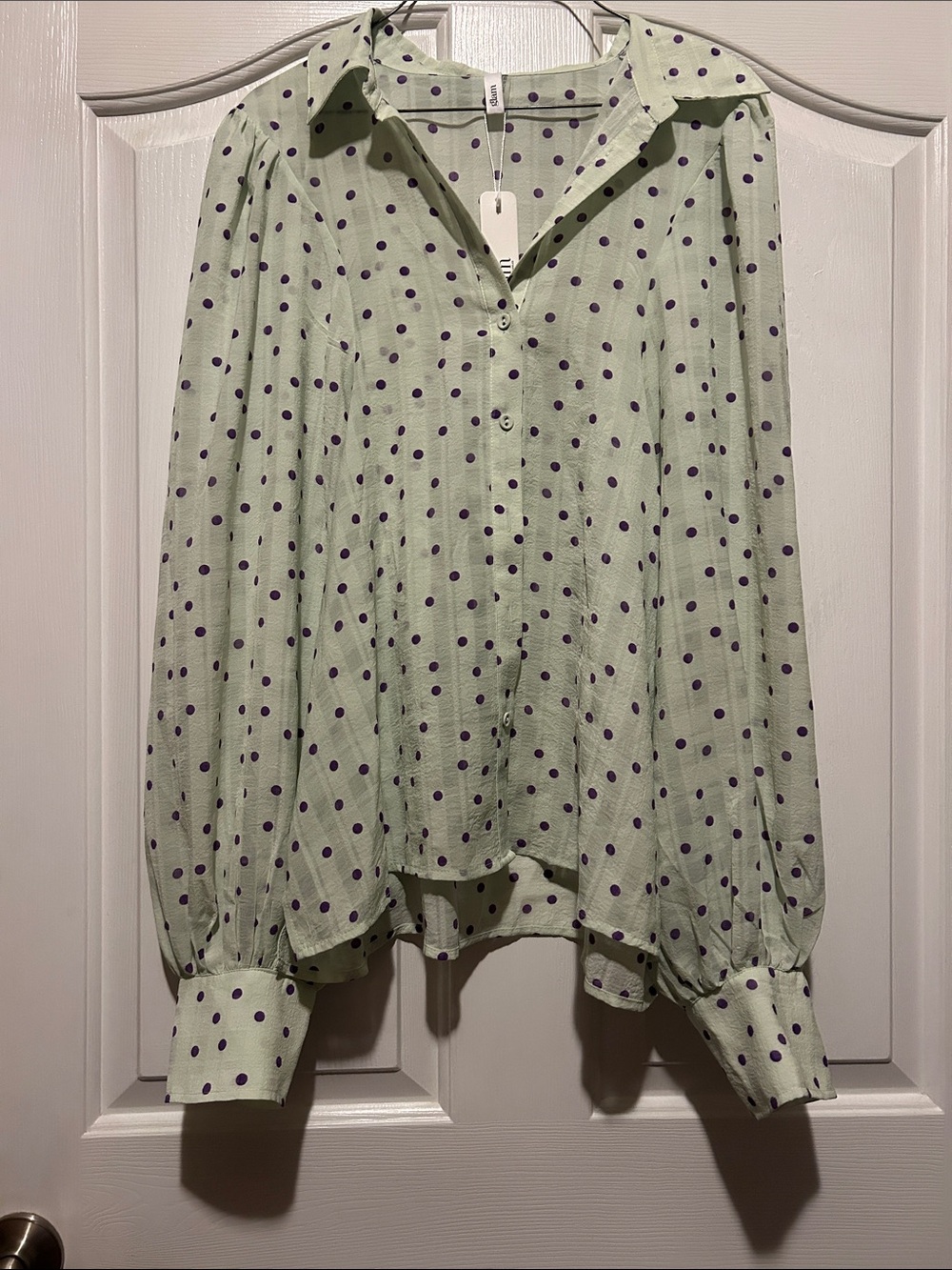Glam Light Green Polka Dot Button-Up Blouse with Purple Dots